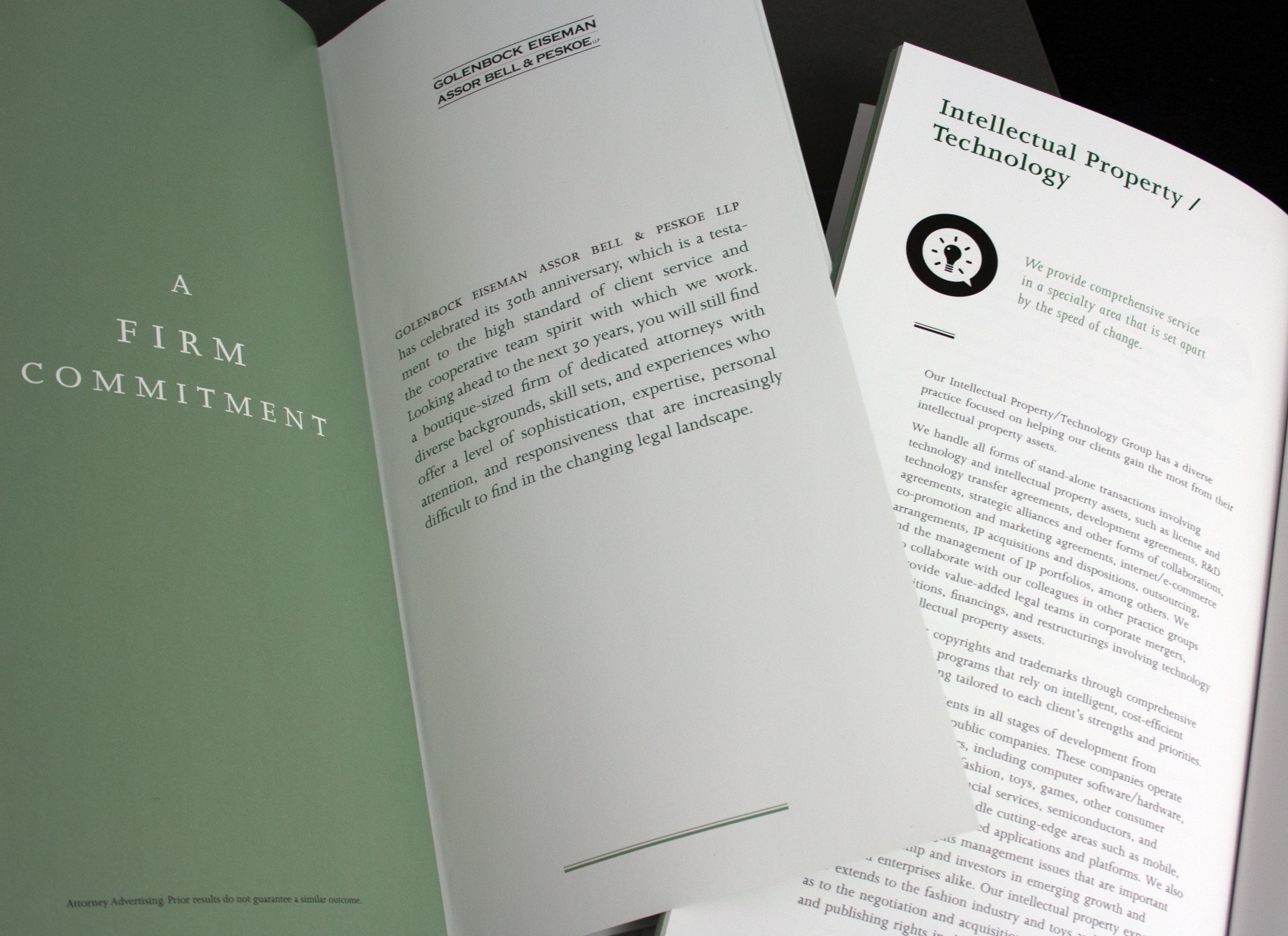 NYC Law Firm Brochure Design