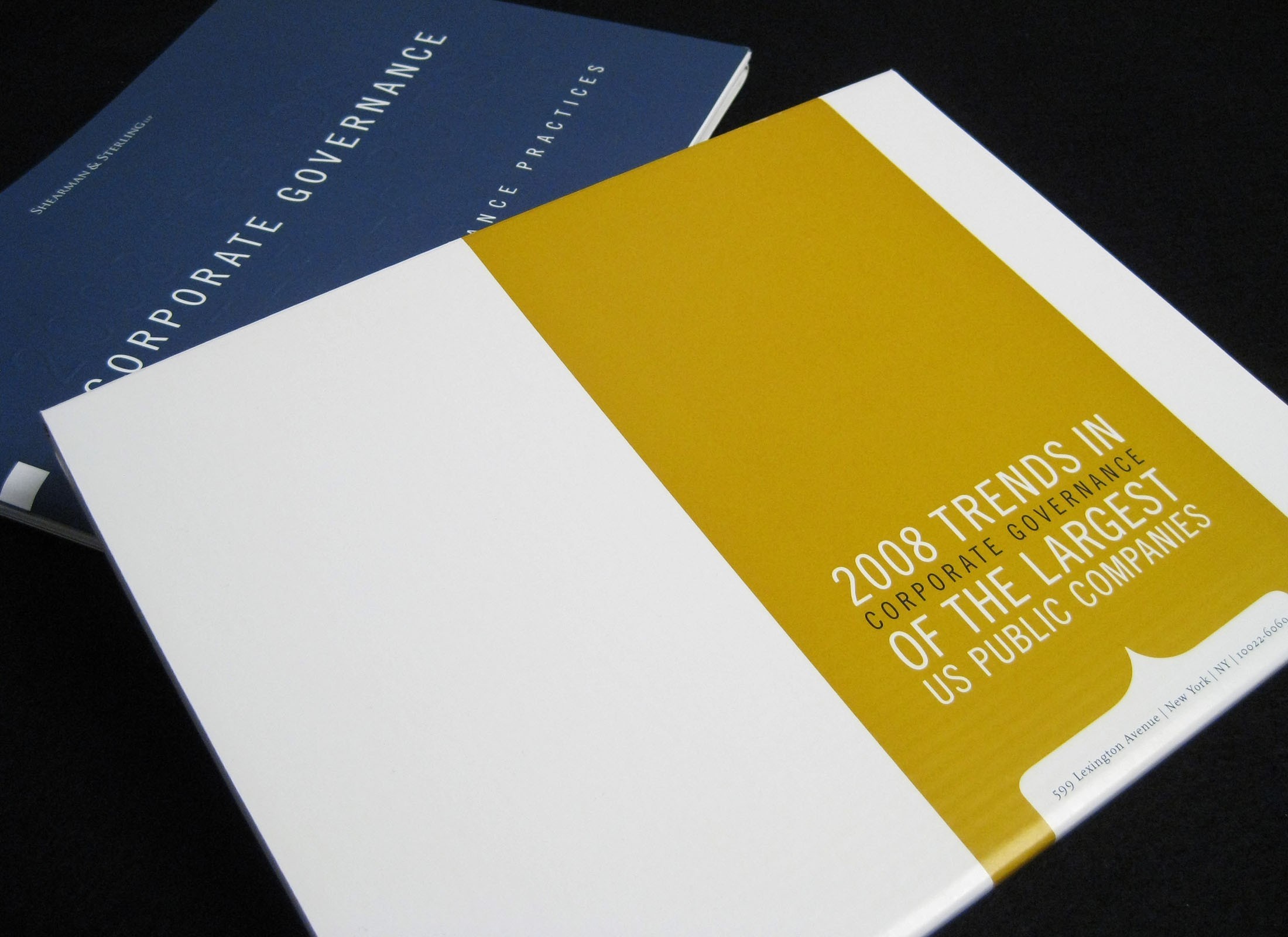 Corporate Governance Survey Brochure Design