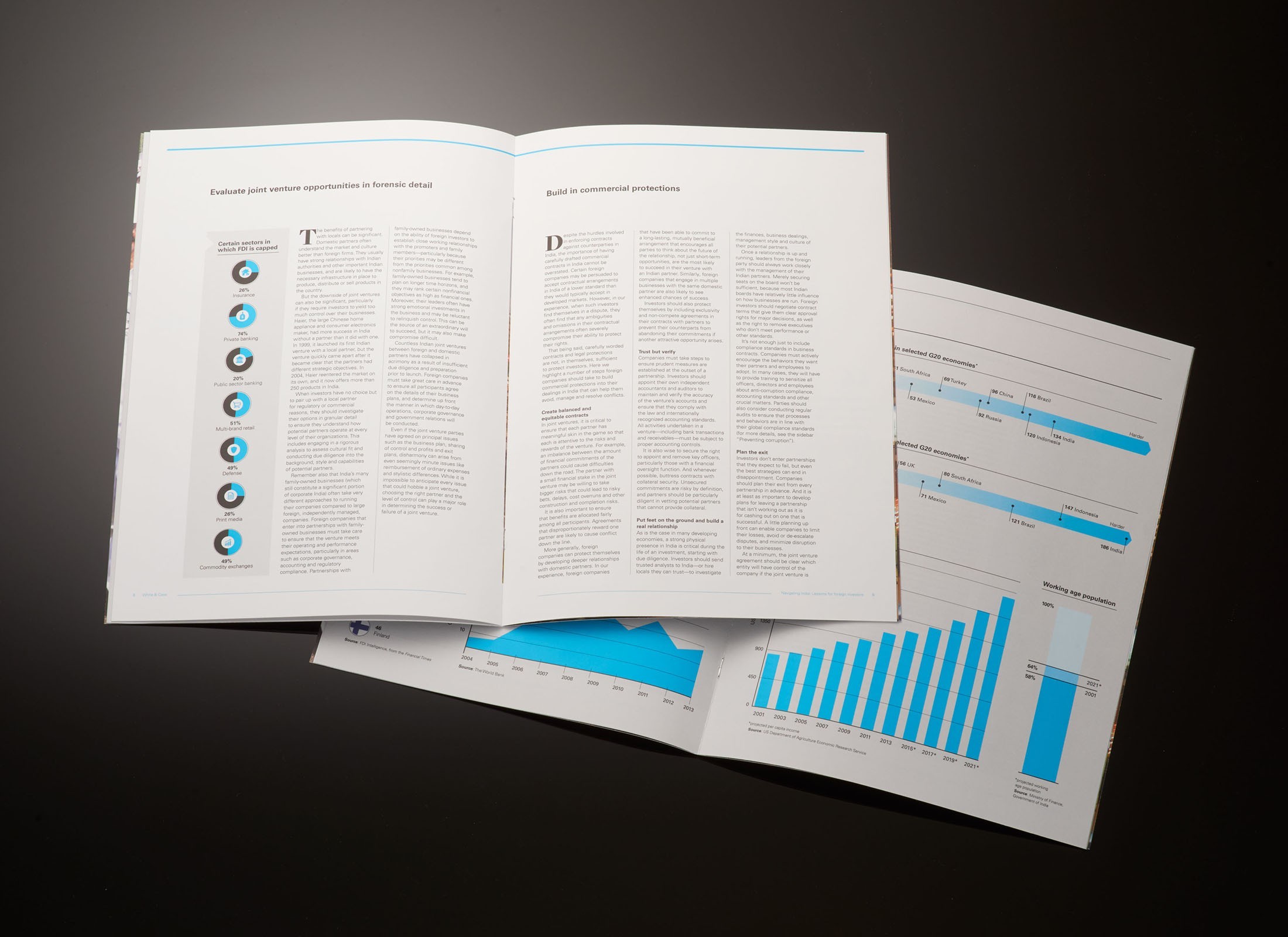 Law Firm Brochure & Infographic Design NY