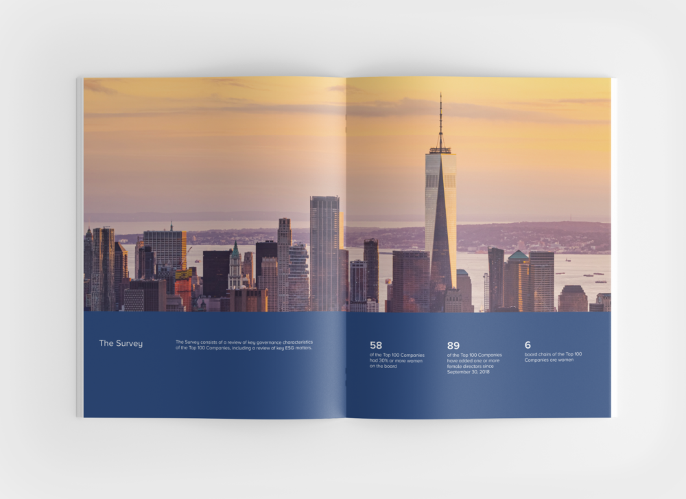 Shearman Sterling Corporate Governance Survey-Divider pages