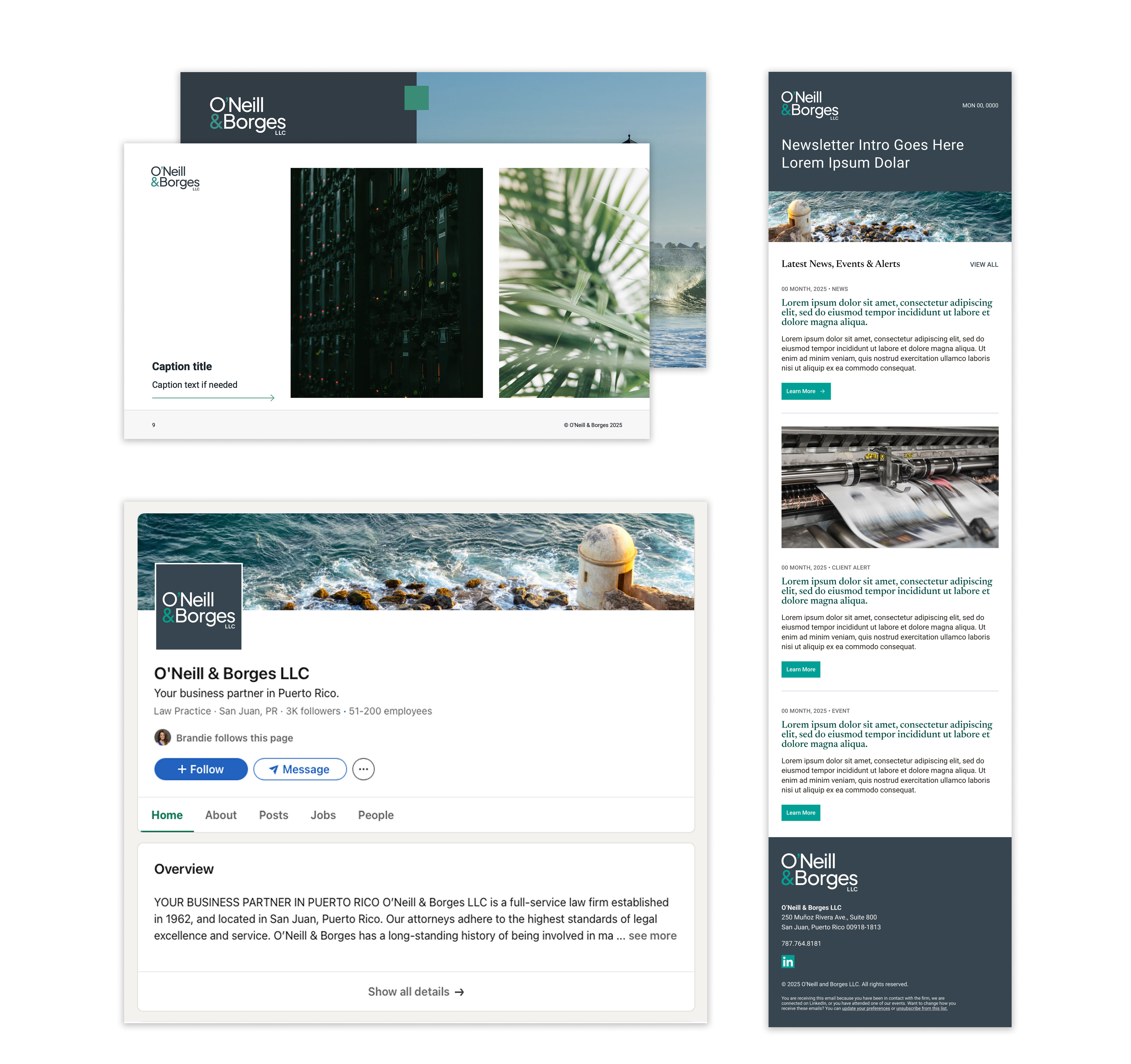 The digital assets, including LinkedIn page, Email newsletter, and Powerpoint presentation
